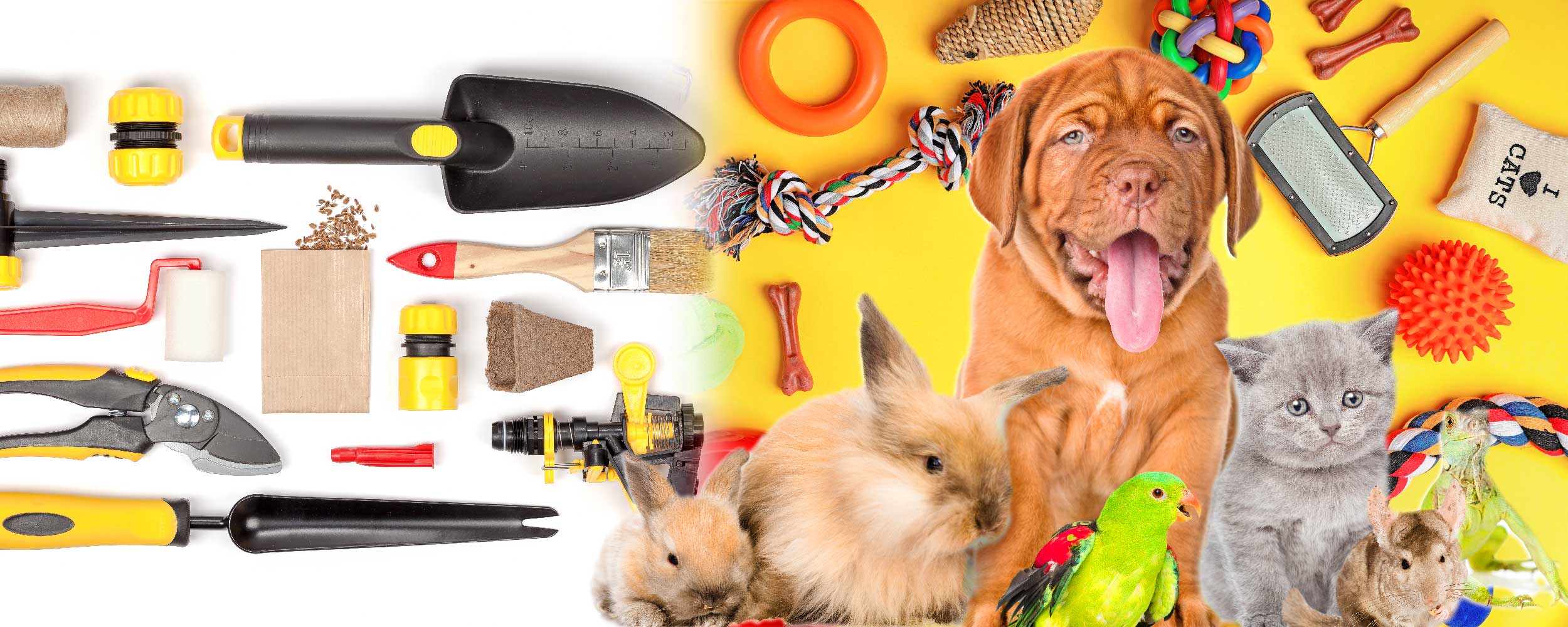 pet food-accessories-various-cat-600w-2124303269.jpg